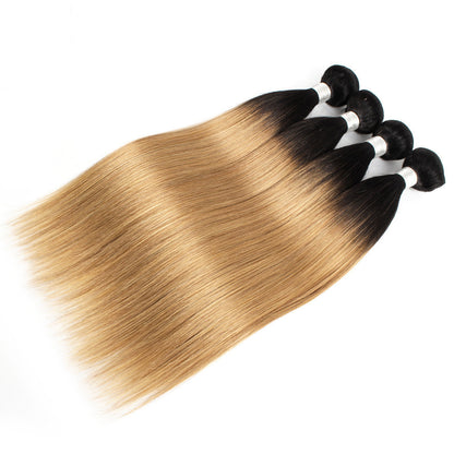 T1b / 27 Brazilian Bundles